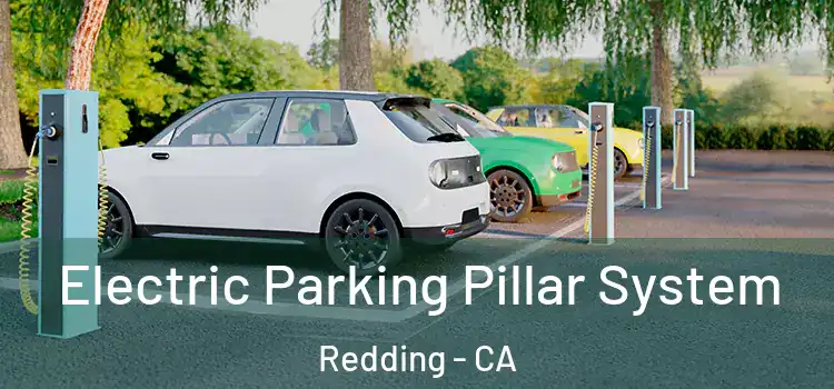 Electric Parking Pillar System Redding - CA