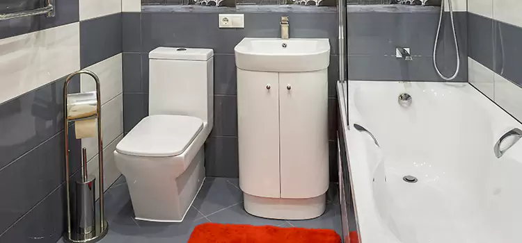 Hansgrohe Shaving Mirror Redding